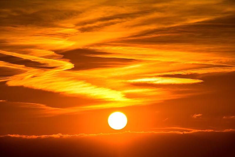 Golden Glow