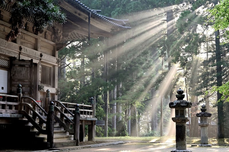 Silver Lining